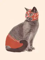 Bodart, Florent: Chat Catcheur