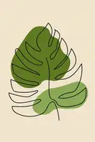 stanley, jay: Abstract One Line Leaf Drawing Ii