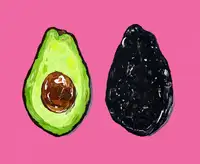 Straker, Alice: Avocado On Pink