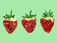 Straker, Alice: Strawberries