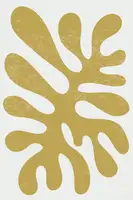 stanley, jay: Henri Matisse’s Algae #5