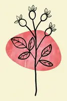 stanley, jay: Minimal Flower Expression #1