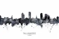 Tompsett, Michael: Tallahassee Florida Skyline