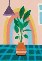 Demir, Aylin: Rainbow in the Living Room