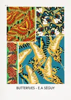 Séguy, Alain Emile: Butterflies 19