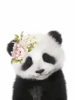 Peacock, Lola: Floral Baby Panda