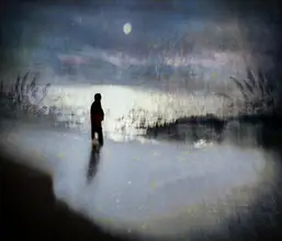 Dou, Shenshen: Silver moonlight