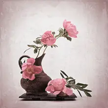 Dingemans, Saskia: Flower power