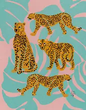 Khalili, Erum: Leopards   Erum Khalili.png