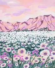 Gesek, Sarah: Pink Desert