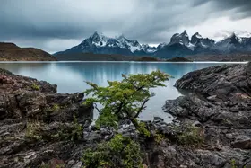 Ying, Li: The Power of clam