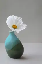 Fennell, Alyson: Cup Cake Cosmos Still Life