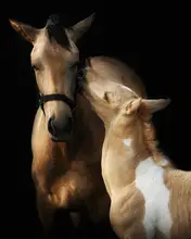 Huertas, Garcia Helena: I love you mommy
