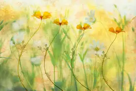 Lee, van Hilda: twisting all day