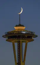 Qin, Feng: Sleepless in Seattle