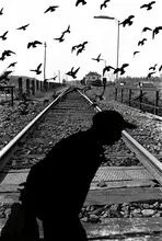 Pizzocaro, Giorgio: Tracks