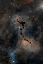 Chander, Vikas: The Seahorse Nebula