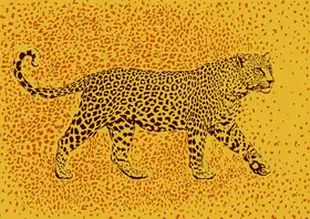 Kaminski, Carlo: Leopard Rosette camouflage