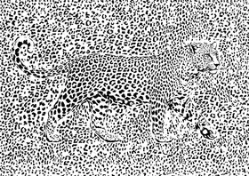 Kaminski, Carlo: Leopard Rosette camouflage