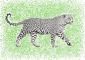 Kaminski, Carlo: Leopard Rosette camouflage