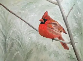 Pomata, M. Angeles: Winter Cardinal