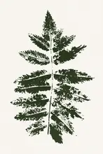 Kubistika: Oak Leaf Print (green)