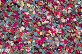 Ramiro, Julia: Confetti