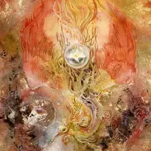 Law, Stephanie: Phoenix