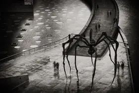 Ariel, Ariel: Mama Spider