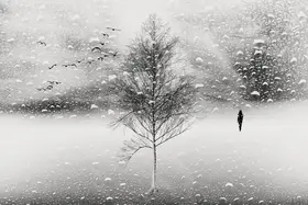 Bogdan, Marchevca: Winter Rain