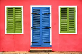 Shrayer, Igor: New Orleans Windows and Doors XV