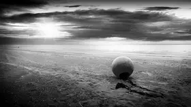 Flour, Bruno: Walk free