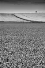 Malovrh, Milan: Black & White Fields