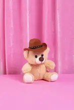 Ramiro, Julia: Cowboy teddy bear