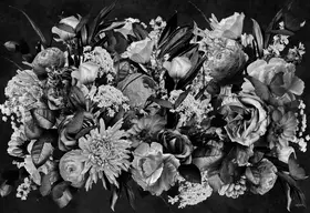Skellern, Sue: Twilight Black & White