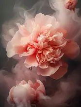 Paksoylu, Bilge: Flowers In Steam 1