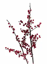 Böhmer, Mareike: Red Berries 2