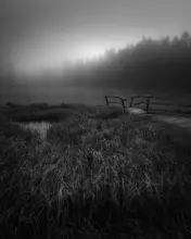 Franzoni, de Thomas: Woven Into Sorrow