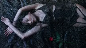 Sakamoto, Tsutomu: Maya