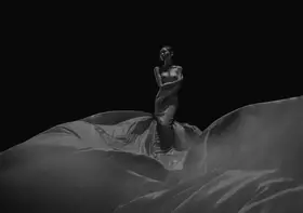 Truong, Van Tran: Nude Voan