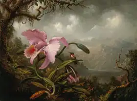 Heade, Martin Johnson: Orchid and Hummingbird