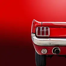 Weber, Roland: The Red Mustang