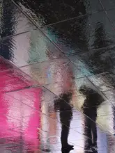 Lesica, Ivan: Reflections