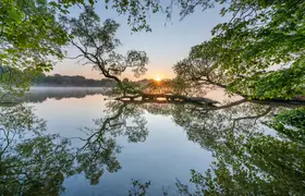 keller: Morning stillness