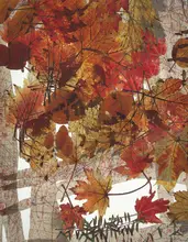 Talen, Nel: Autumn fantasy
