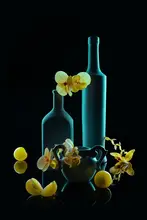 Jacobs, Lydia: Delicate Yellow