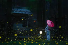 quan, van Vu: Japanese kimono and sea of fireflies