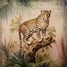 Haase, Andrea: Cheetahs Exotic Jungle