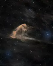 Chander, Vikas: The Sting Ray Nebula