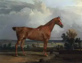 Ward, James: The study horse